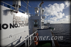 Palau diving