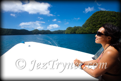 Palau diving liveaboard