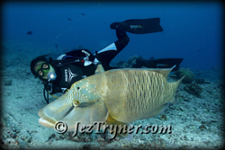 Meet the locals in Palau