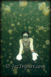 Ai freediving at jellyfish lake, Palau, Micronesia, Pacific ocean, Asia