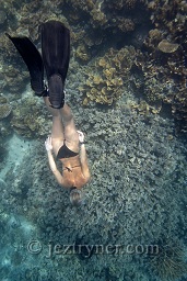 Andrea freediving, Restorf island, Walindi, Kimbe bay, Bismark sea, Pacific ocean, Papua New Guinea,  Asia