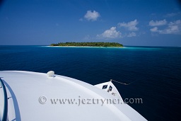 Sachika at Maalos island, North Ari atoll, Maldives, Indian Ocean, Asia.