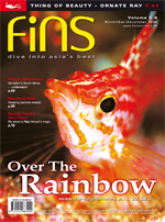 FINS cover shot issue 5.6