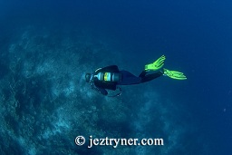 A diver descends onto the dive site, Crystal rock (Batu mandi), Gili Lawalaut, Komodo, Flores sea, Indian Ocean, Indonesia, Asia