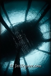 Under the pier at Airborek, Dampier strait, Raja Ampat, Indonesia, Indian ocean, Asia