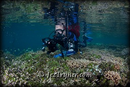 A diver explores the mangroves at Mangrove ridge, Raja Ampat, Indonesia, Indian ocean, Asia