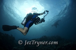 A photographer shoots a Manta ray (Manta birostris), Maldives, Indian ocean, Asia