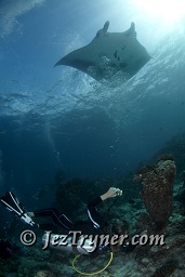, Maldives, Indian ocean, Asia