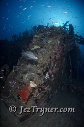 The stunning Kudu Giri wreck, Kudu giri, Maldives, Indian ocean, Asia