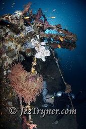 A diver at the stunning Kudu Giri wreck, Kudu giri, Maldives, Indian ocean, Asia
