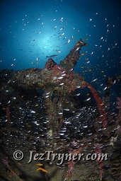 The stunning Kudu Giri wreck, Kudu giri, Maldives, Indian ocean, Asia