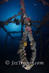 The stunning Kudu Giri wreck, Kudu giri, Maldives, Indian ocean, Asia