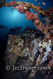 A diver at the stunning Kudu Giri wreck, Kudu giri, Maldives, Indian ocean, Asia