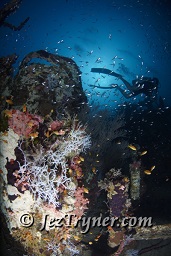 A diver at the stunning Kudu Giri wreck, Kudu giri, Maldives, Indian ocean, Asia