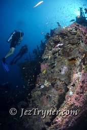 A diver at the stunning Kudu Giri wreck, Kudu giri, Maldives, Indian ocean, Asia