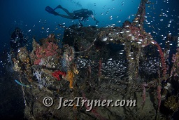The stunning Kudu Giri wreck, Kudu giri, Maldives, Indian ocean, Asia