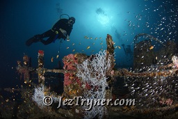 The stunning Kudu Giri wreck, Kudu giri, Maldives, Indian ocean, Asia