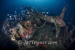 The stunning Kudu Giri wreck, Kudu giri, Maldives, Indian ocean, Asia