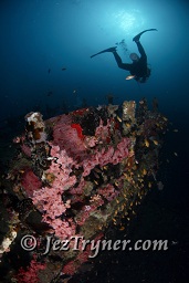 The stunning Kudu Giri wreck, Kudu giri, Maldives, Indian ocean, Asia