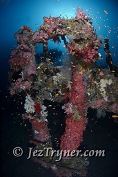 The stunning Kudu Giri wreck, Kudu giri, Maldives, Indian ocean, Asia