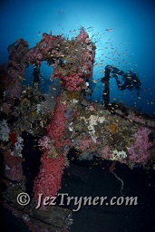 The stunning Kudu Giri wreck, Kudu giri, Maldives, Indian ocean, Asia