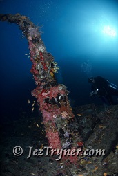 The stunning Kudu Giri wreck, Kudu giri, Maldives, Indian ocean, Asia