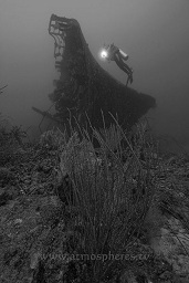 A diver hovers above the wreck of the Der Yang (scuttled in 1988), Echuca patch, Kavieng, Pacific ocean, Papua New Guinea,  Asia