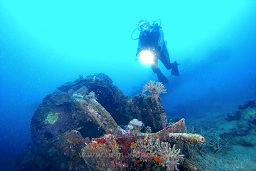 A diver exploring the B-25 