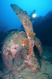 A diver exploring the B-25 