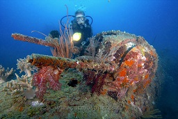 A diver exploring the B-25 